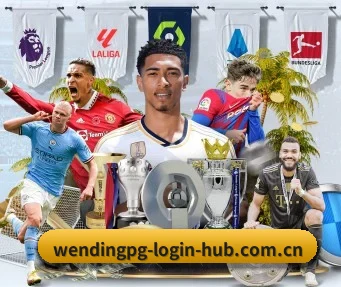 wendingpg-login-hub.com.cn APP